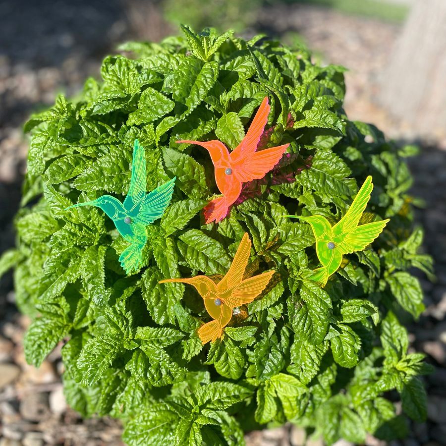 A four pack of glowing hummingbirds in a bush. Colors: Pink, Yellow, Orange, and Green