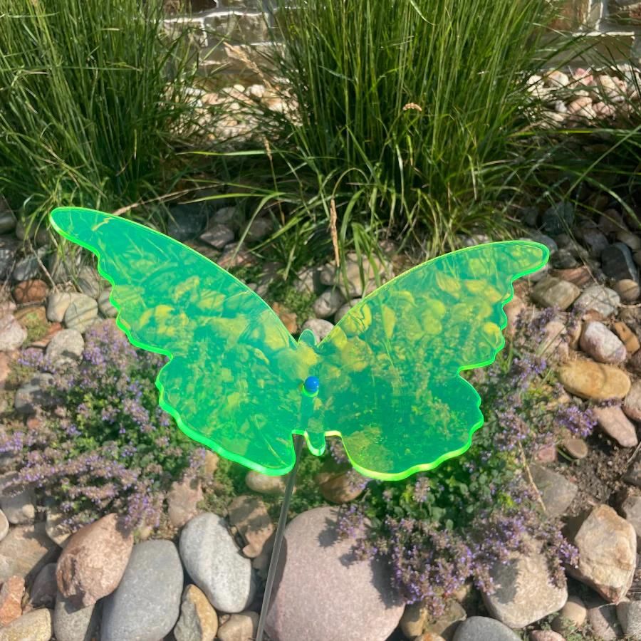 A green glowing butterfly on rocks