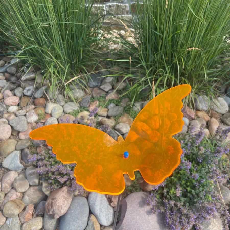 An orange glowing butterfly on rocks