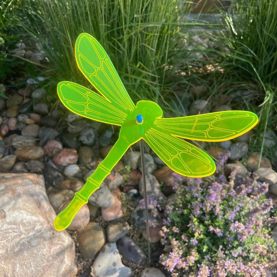 A yellow glowing dragonfly on rocks