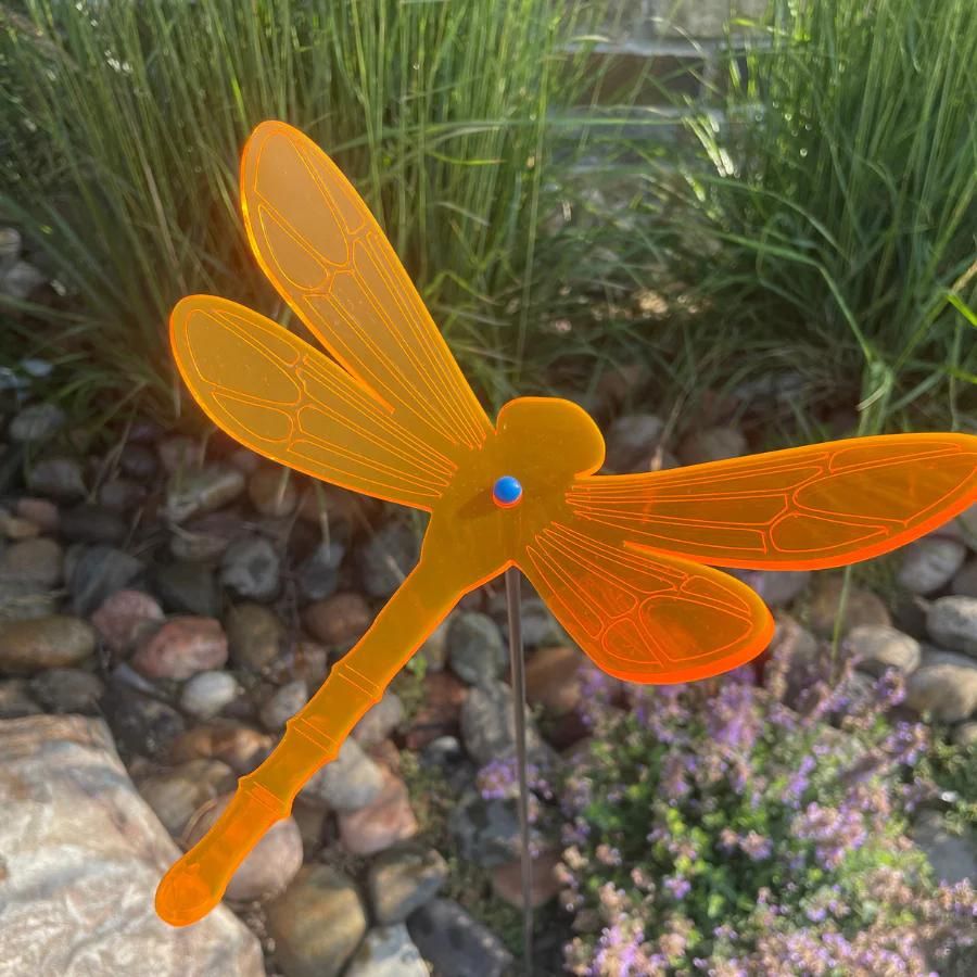 An orange glowing dragonfly on rocks