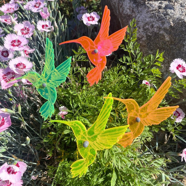 A four pack of glowing hummingbirds in grass. Colors: Pink, Yellow, Orange, and Green