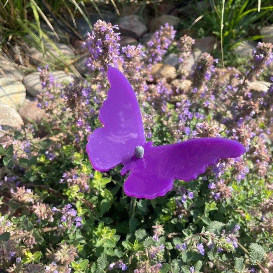 A purple glowing butterfly in flowers