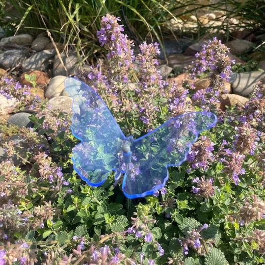 A blue glowing butterfly in flowers