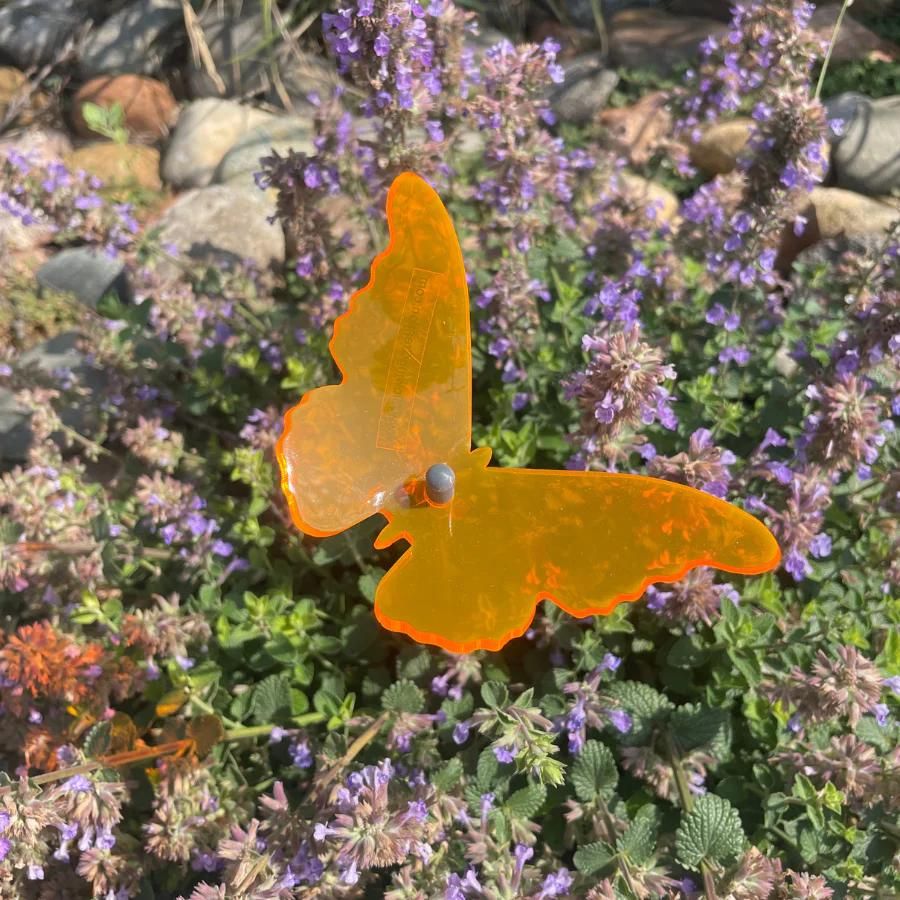 An orange glowing butterfly in flowers