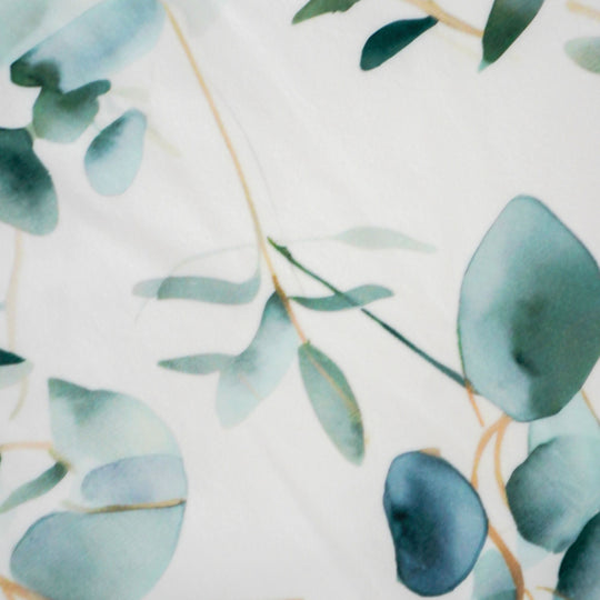Close-up of green leaves on a light background