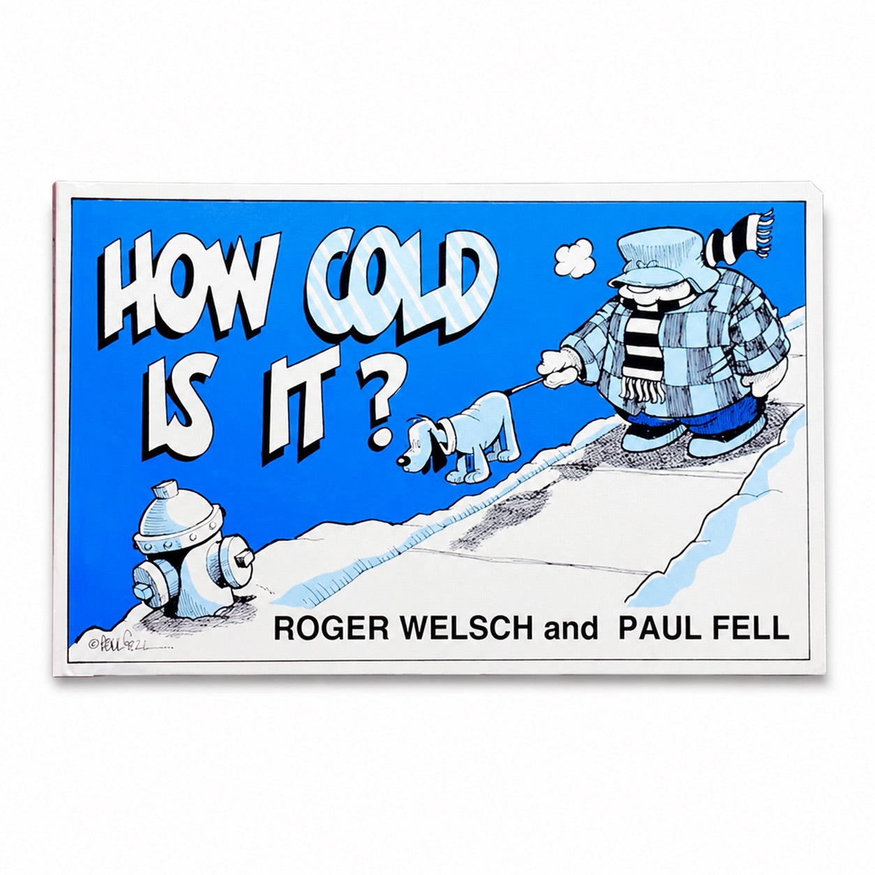 How Cold Is It? by Roger Welsch and Paul Fell