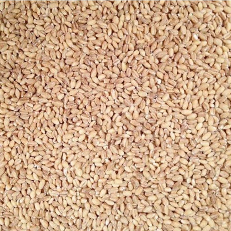  Pile Of Raw, Whole, Organic Hulled Barley