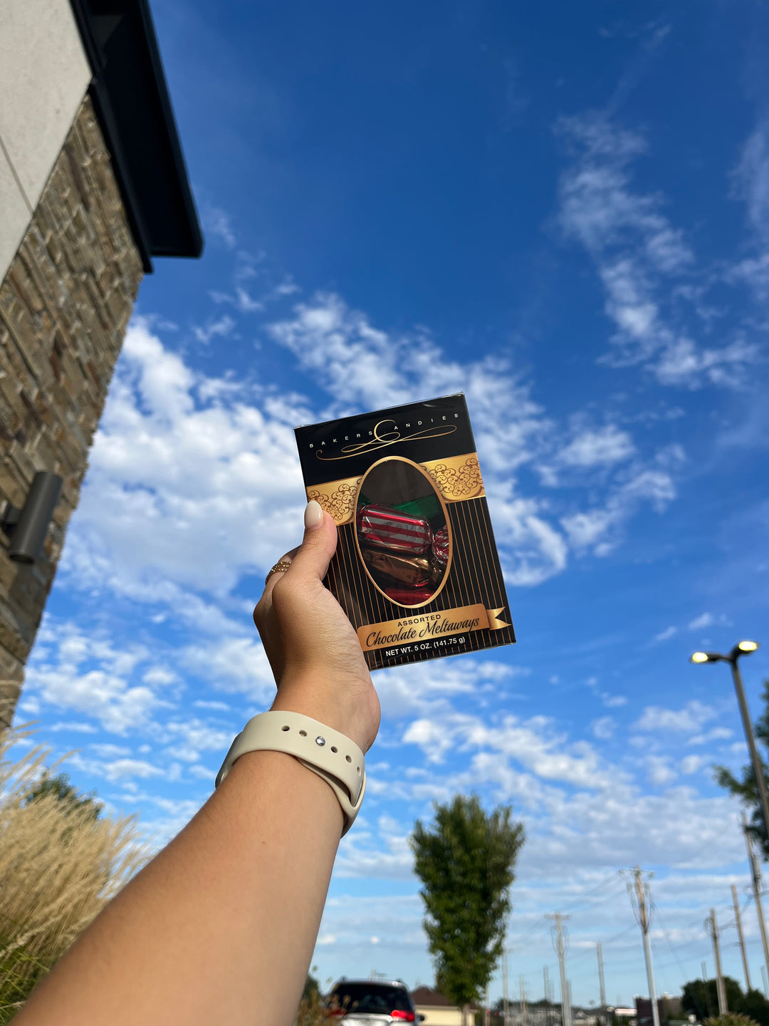 Bakers Candies 5oz Chocolate Meltaways Window Box Being held by a person in front of a sky background.