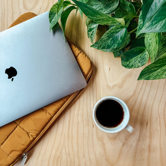 Laptop on a brown cushion next to a cup of coffee and a plant on a wooden surface