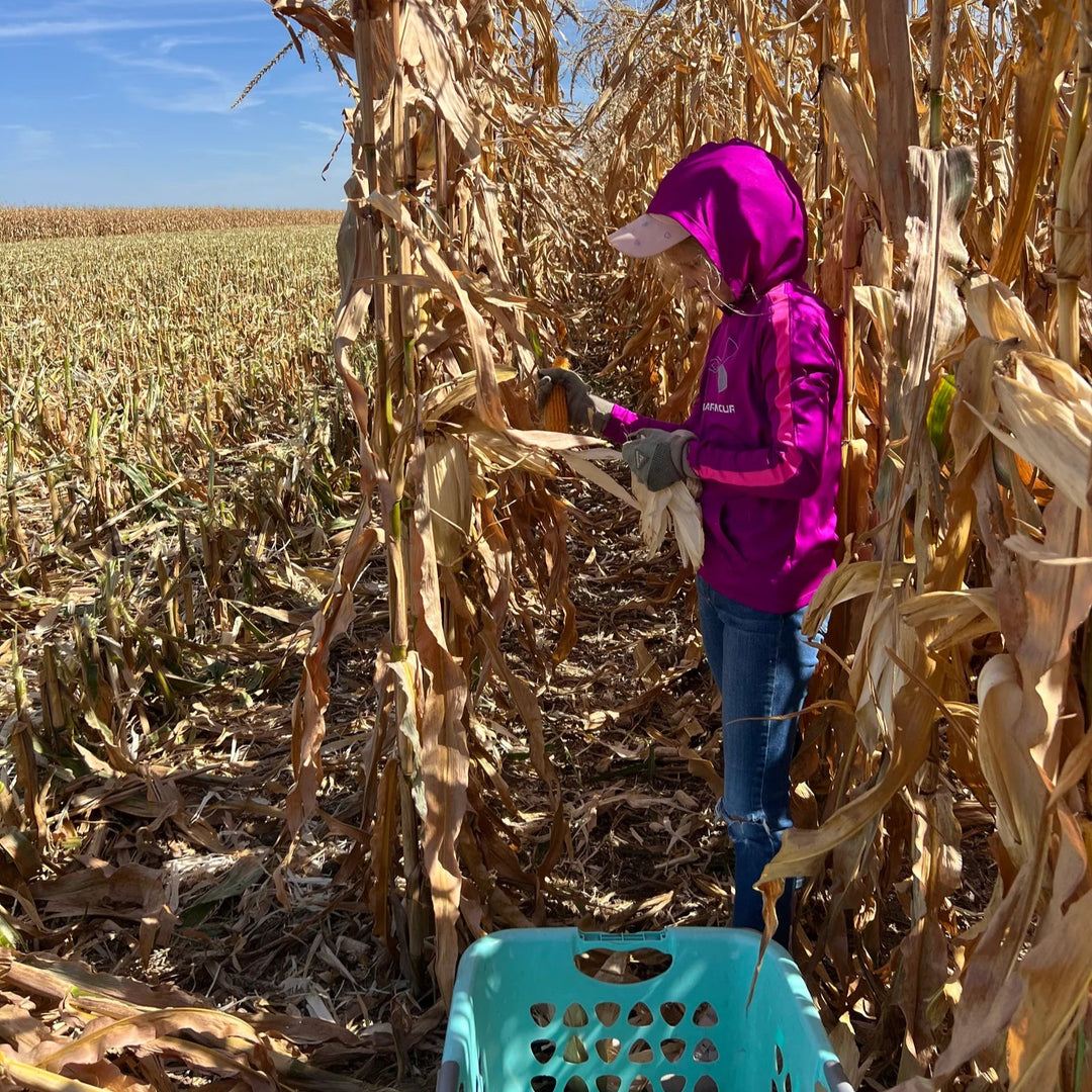 Person in a purple jacket walking through a cornfield with a blue chair.
