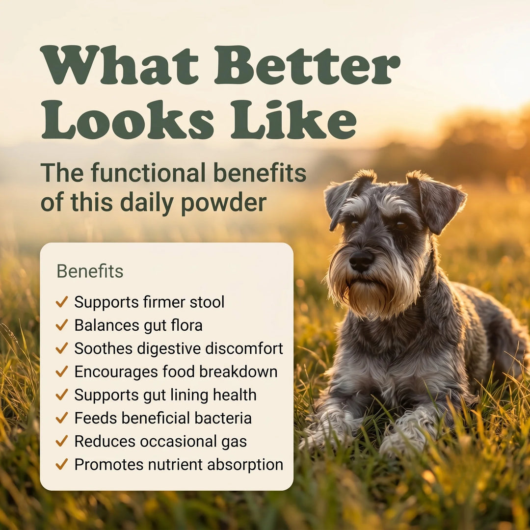 Gut & Flora Canine Powder