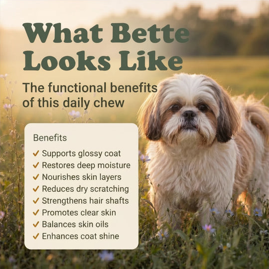 Dog standing in a field with text about the benefits of a daily chew product.