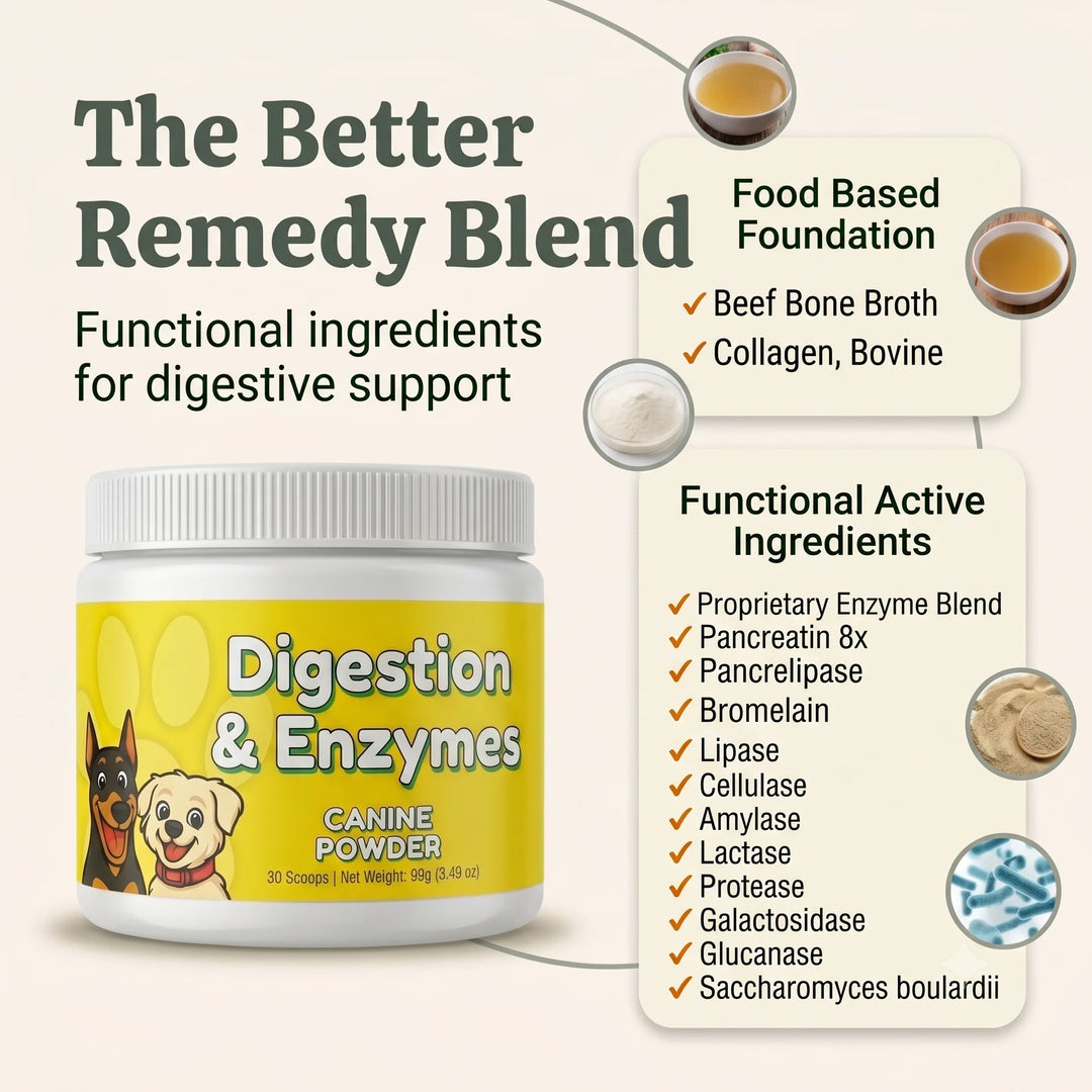 Digestion & Enzymes Canine Powder