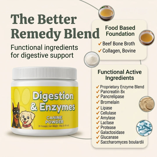 Digestion & Enzymes Canine Powder