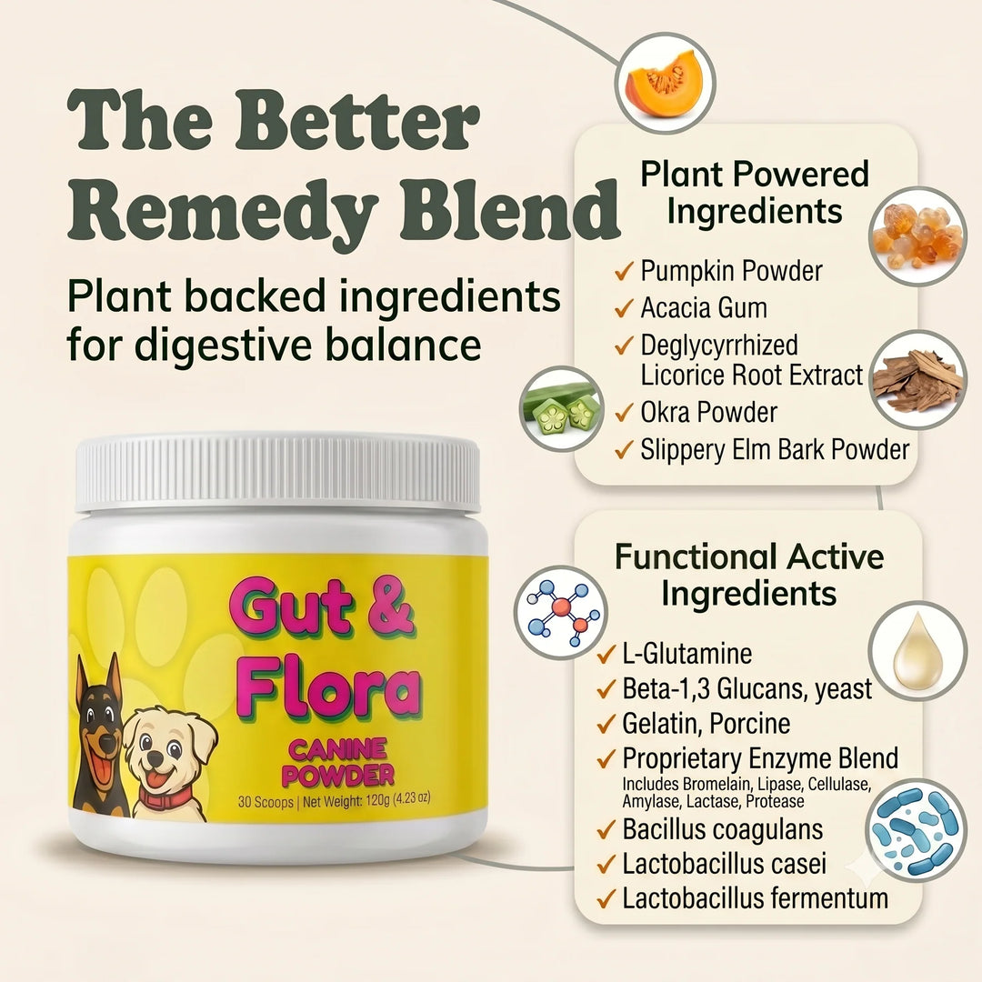 Gut & Flora Canine Powder