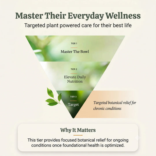 An infographic titled 'Master Their Everyday Wellness' with a large inverted triangle divided into three green tiers labeled 'Master The Bowl,' 'Elevate Daily Nutrition,' and 'Target,' plus smaller text about botanical relief for chronic conditions. A white rounded panel at the bottom reads 'Why It Matters.