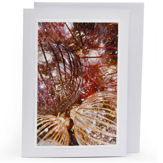 Blank Christmas Greeting Card | Multiple Designs | KJ Made