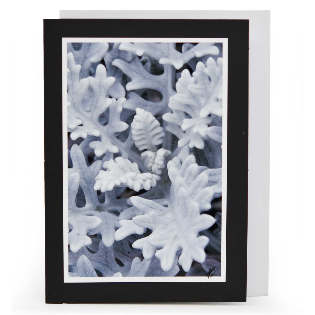 Blank Christmas Greeting Card | Multiple Designs | KJ Made