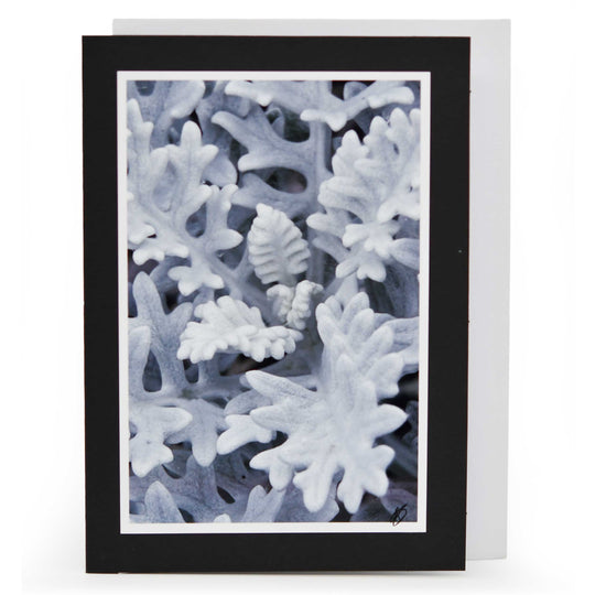 Blank Christmas Greeting Card | Multiple Designs | KJ Made