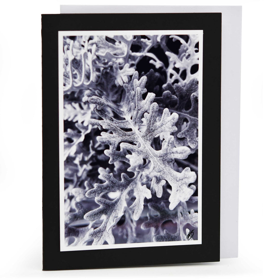 Blank Christmas Greeting Card | Multiple Designs | KJ Made