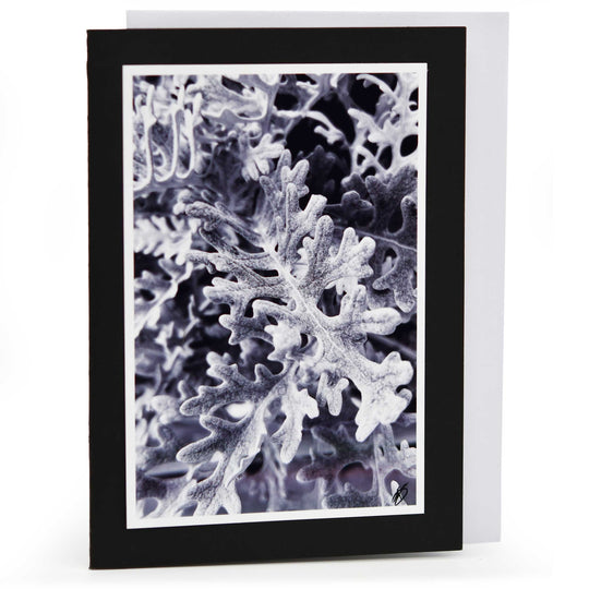 Blank Christmas Greeting Card | Multiple Designs | KJ Made