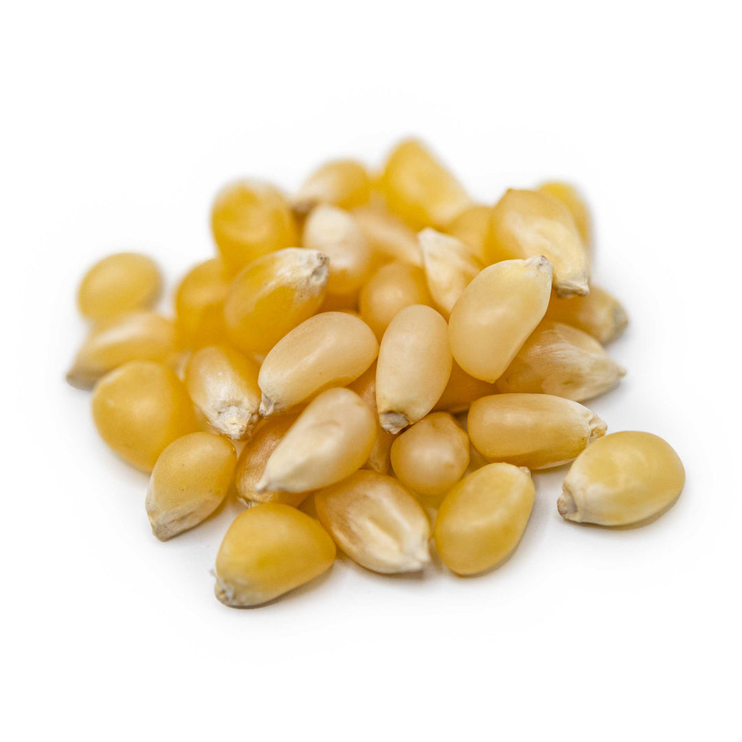 White Un-Popped Popcorn Kernels | 2 lb | Pack of 3 | Non-GMO | Popcorn County USA | North Loup Valley