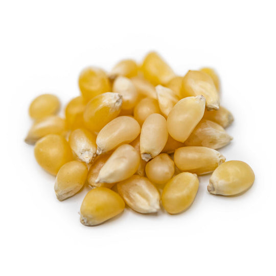 White Un-Popped Popcorn Kernels | 2 lb | Pack of 3 | Non-GMO | Popcorn County USA | North Loup Valley