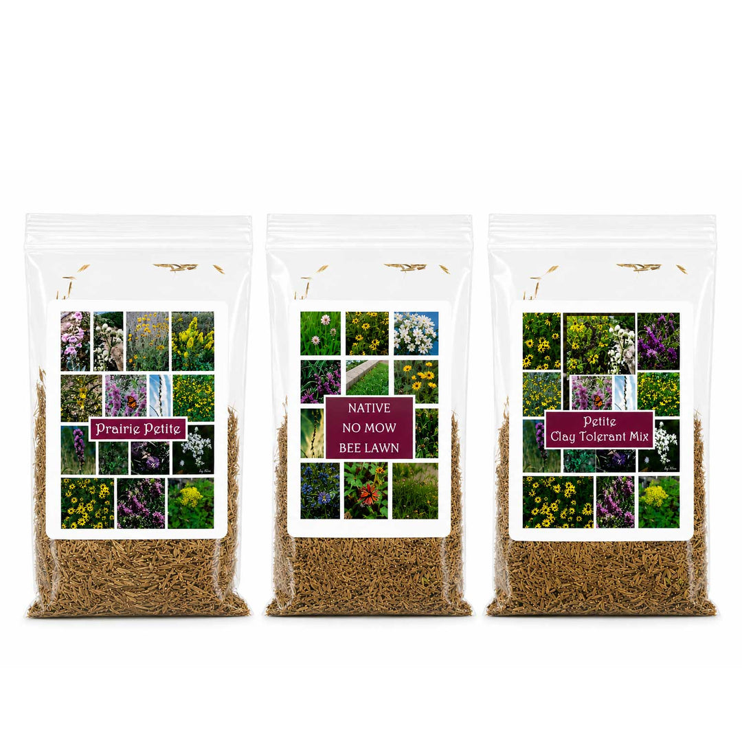 Prairie Legacy Petite Bundle