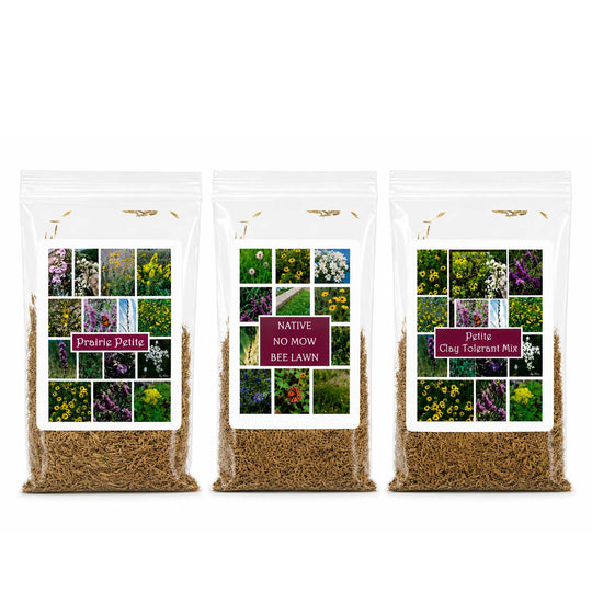 Prairie Legacy Petite Bundle