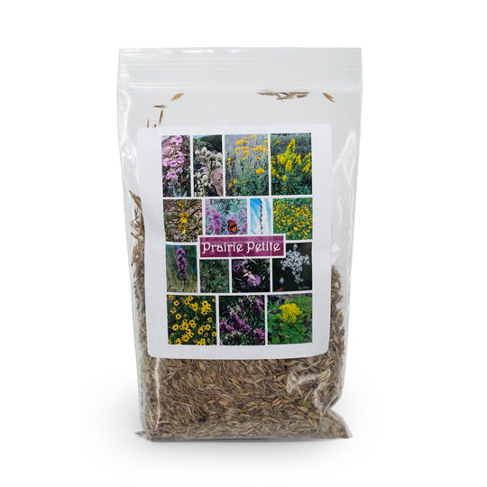 Prairie Petite | Flower Seed Mix | Wildflowers | Petite Garden Flowers | Home for Pollinators | Made in Saline County, NE | Prairie Legacy Inc.