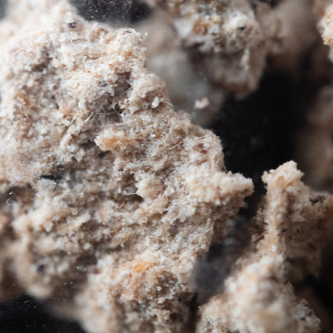 Close up of Freeze Dried Marrow Mush