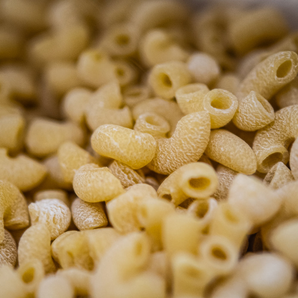 Close up of Curvi Lisci pasta