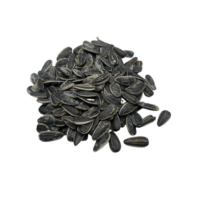 Roasted Sunflower Seeds to Eat | Original | 12 oz. Bag | 2 Pack | Shipping Included
