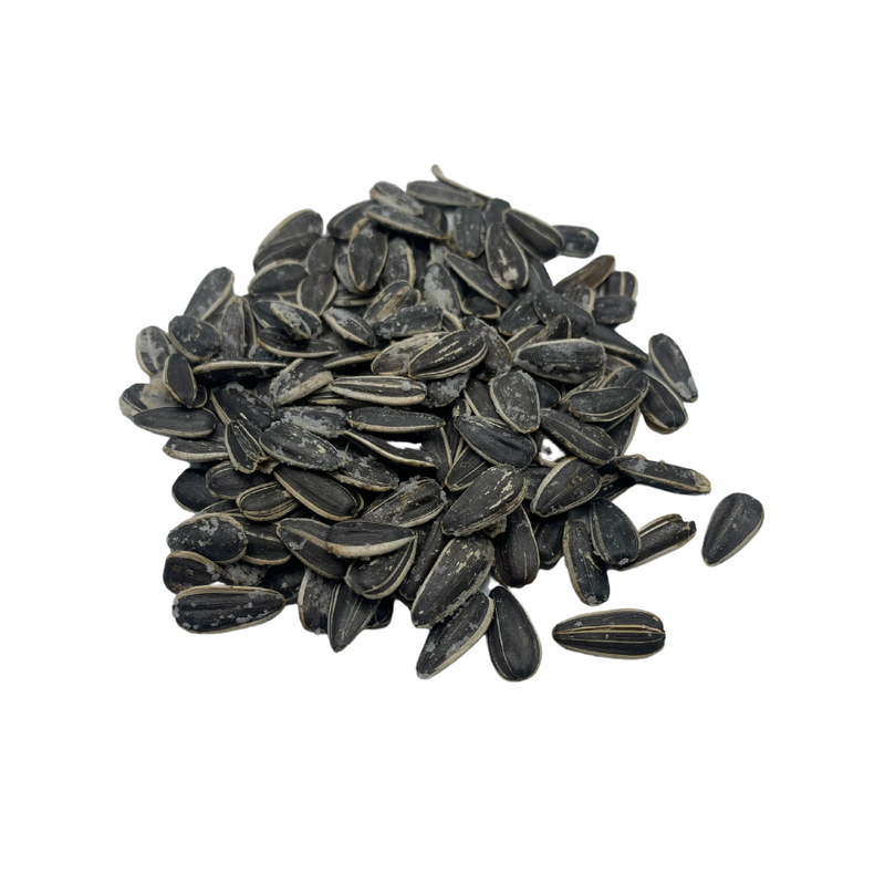 Roasted Sunflower Seeds to Eat | Original | 12 oz. Bag | 6 Pack | Shipping Included