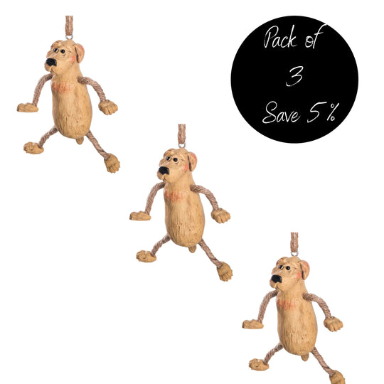 Pack of 3 Yellow Lab ornaments 