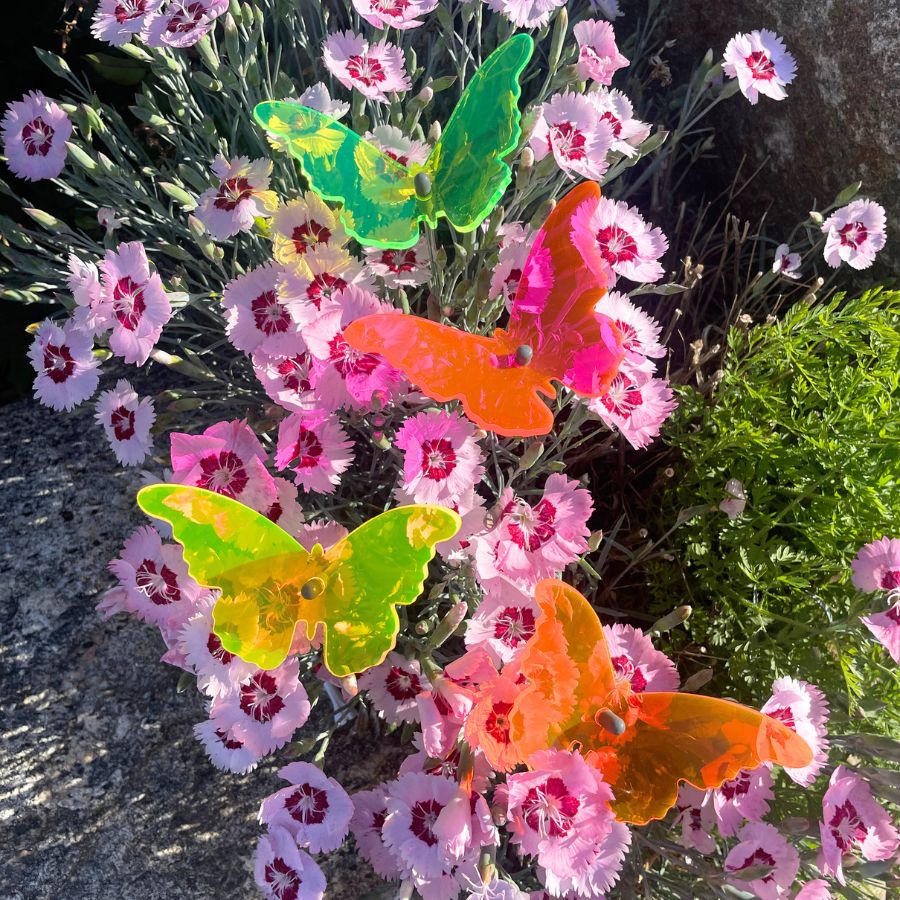 Green, Yellow, Pink, and Orange Flowerpot Butterflies in Flowers