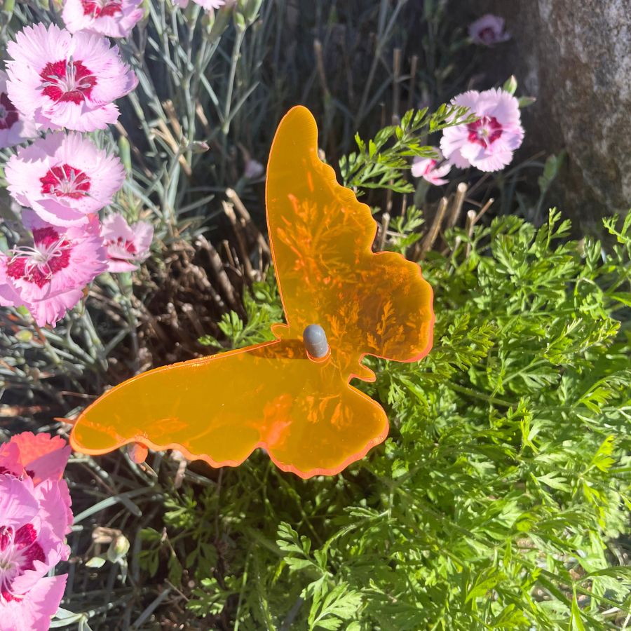 Orange Flowerpot Butterfly