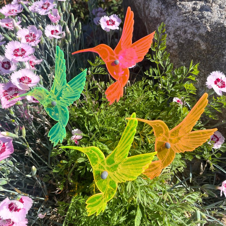 Green, Yellow, Pink, and Orange Hummingbirds in a Leaf/Flower Bush