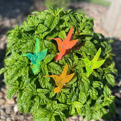 Green, Yellow, Pink, and Orange Hummingbirds in a Leaf Bush