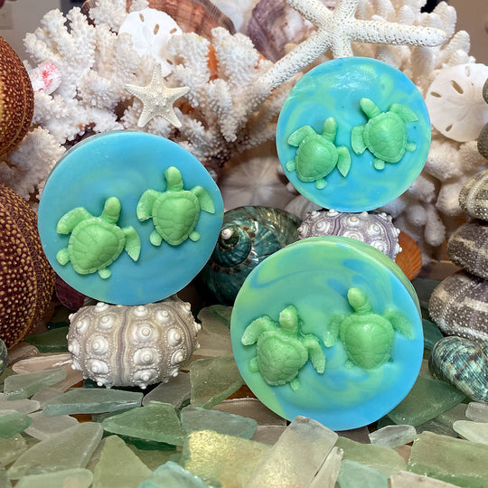 Three blue and green turtle-themed soaps on a background of seashells and coral.