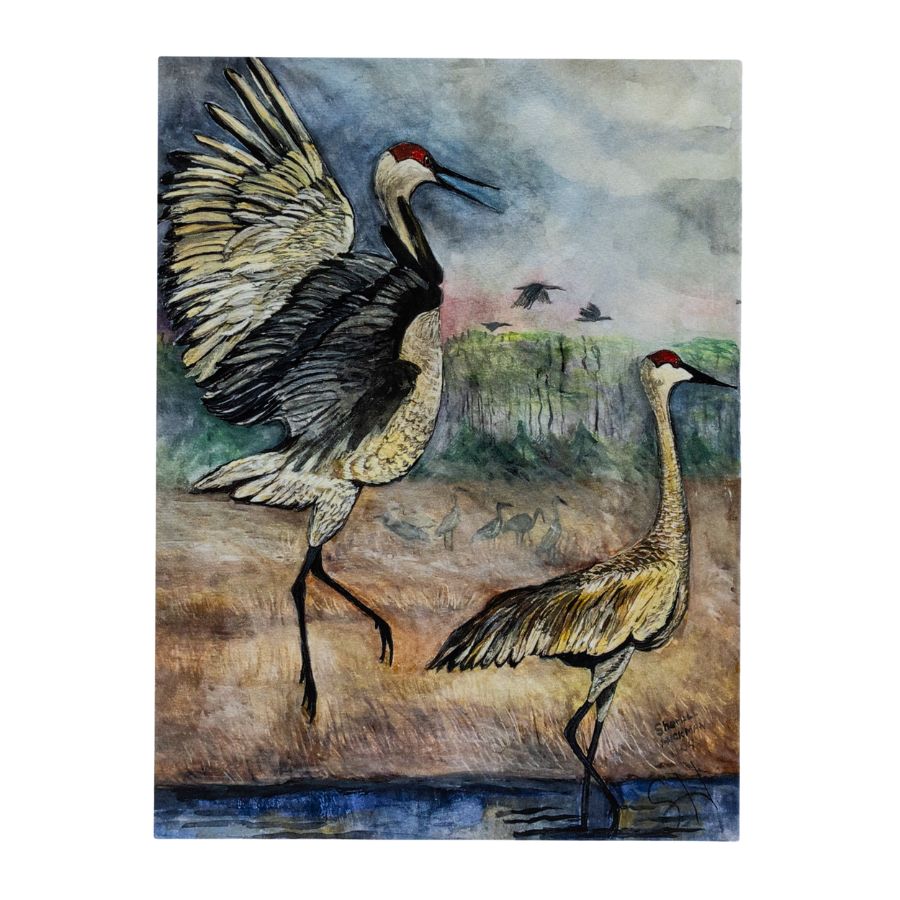 Crane Variety Card Set | Set of 3 | 4" x 6" | Hand-Painted | Sheryll Hickman Art