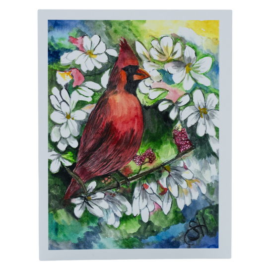 Cardinal Card Set | Set of 3 | 4" x 6" | Sheryll Hickman Art