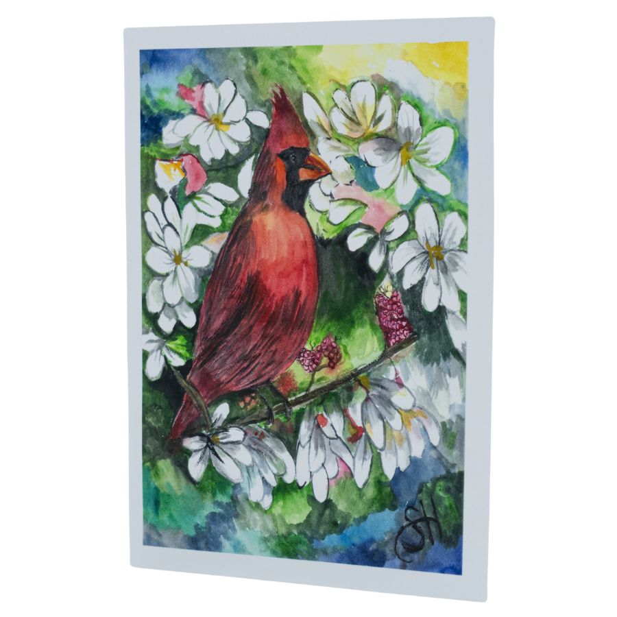 Cardinal Card Set | Set of 3 | 4" x 6" | Sheryll Hickman Art