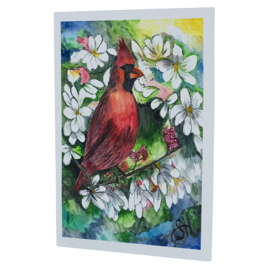 Cardinal Card Set | Set of 3 | 4" x 6" | Sheryll Hickman Art