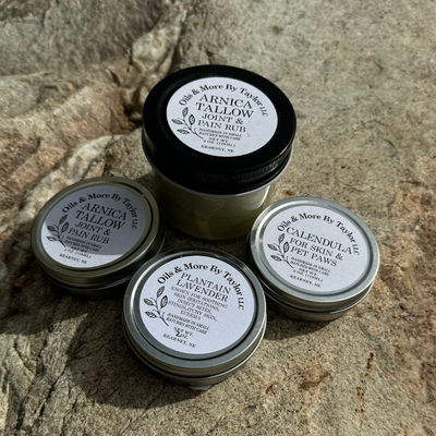 Lavender Plantain Salve | Natural Toxin Extractor | For Bites, Scratches, and Eczema | 2 oz salve