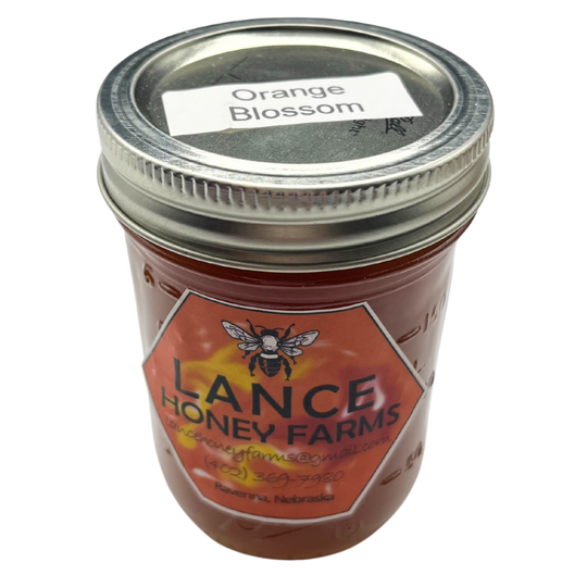 All Natural Raw Honey | Orange Blossom | Orange Taste With a Strong Hint of Floral | Excellent for Breakfast Pancakes | 12 oz Jar