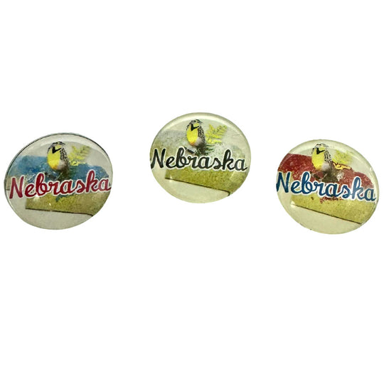 Nebraska State Bird Magnet | Multiple Colors | 1" x 1" | Create