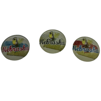 3 Nebraska Meadowlark Magnets Multiple Colors