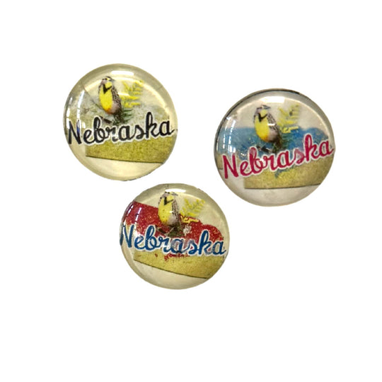 Nebraska State Bird Magnet | Multiple Colors | 1" x 1" | Create